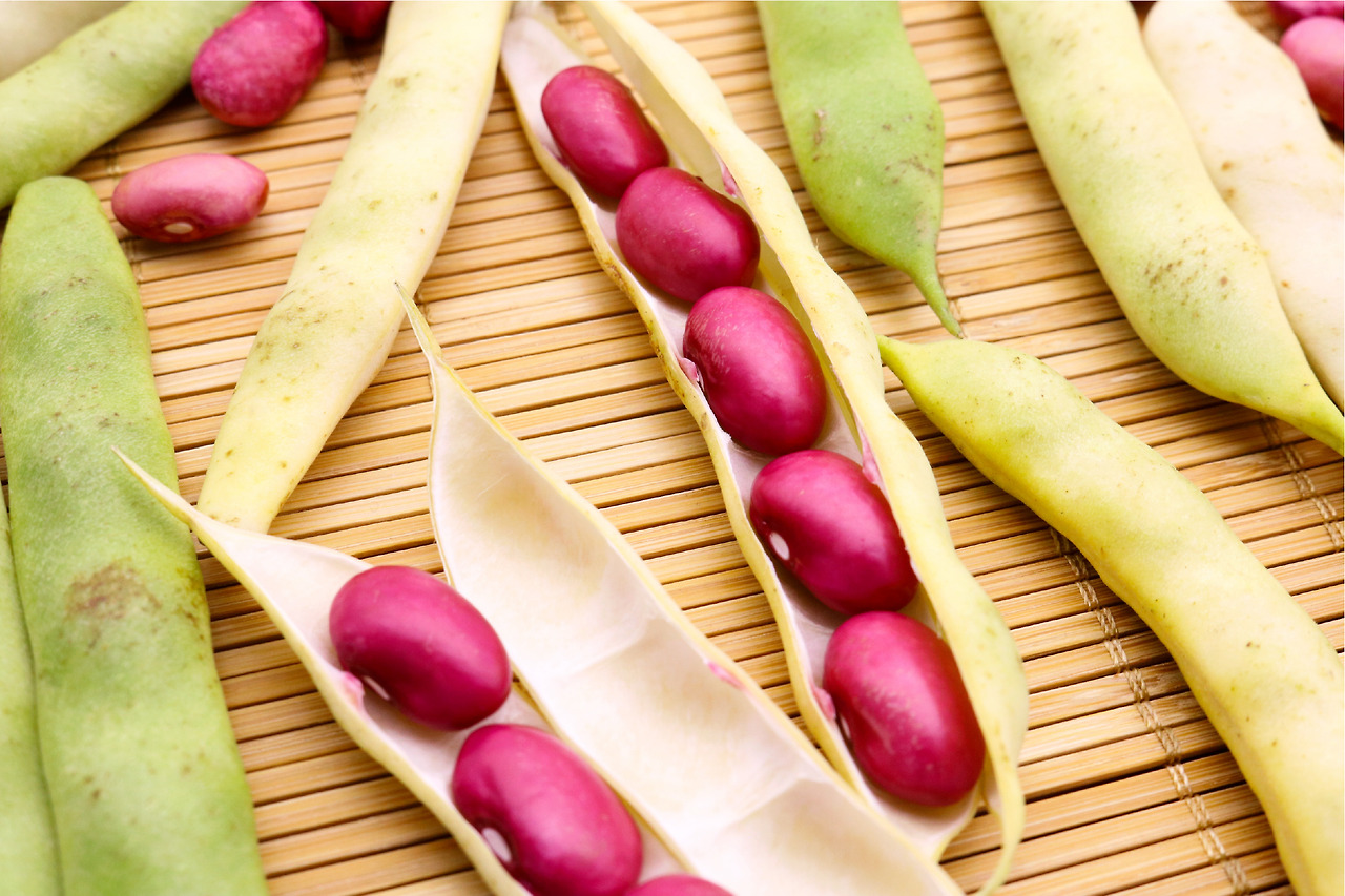 강낭콩의 단백질 함량과 건강 효과